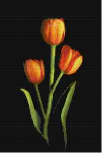 Тюльпаны 100x150, 30 цветов